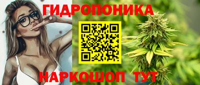 гидропоника Моздок