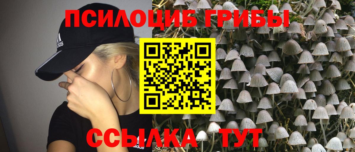 Галлюциногенные грибы Psilocybine cubensis  Вход с VPN  Энгельс  Галлюциногенные грибы Magic Shrooms 